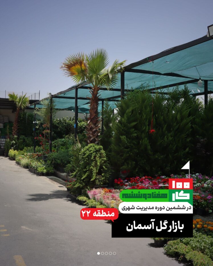 کار هفتاد و ششم: بازار گل آسمان