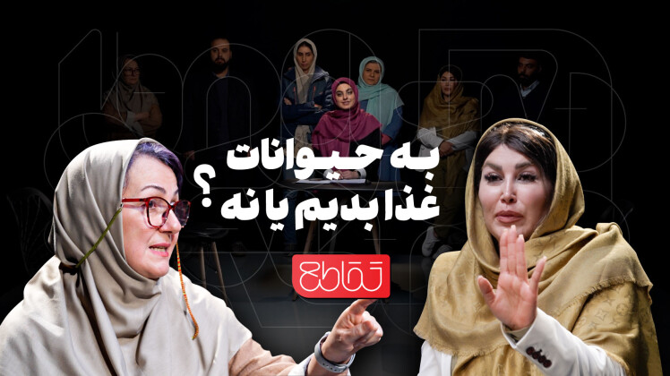 چالش غذارسانی به حیوانات شهری