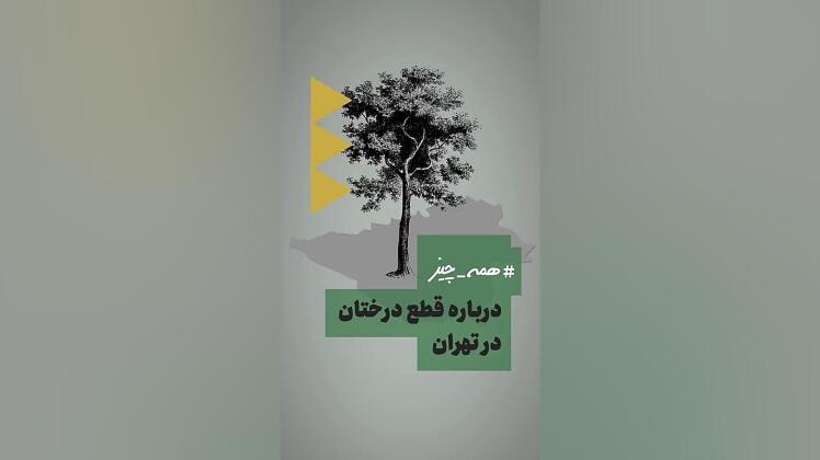 همه چیز درباره قطع درختان در تهران